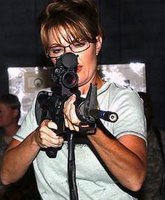65_Palin_Shooting